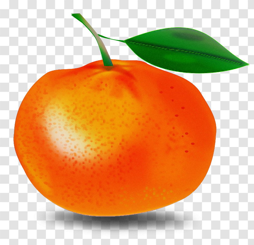 Orange Transparent PNG