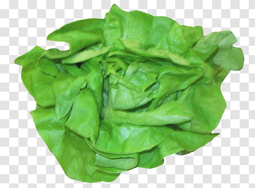Romaine Lettuce Spinach Chard Sandwich Salad - Caesar - Fresh Mouth Transparent PNG
