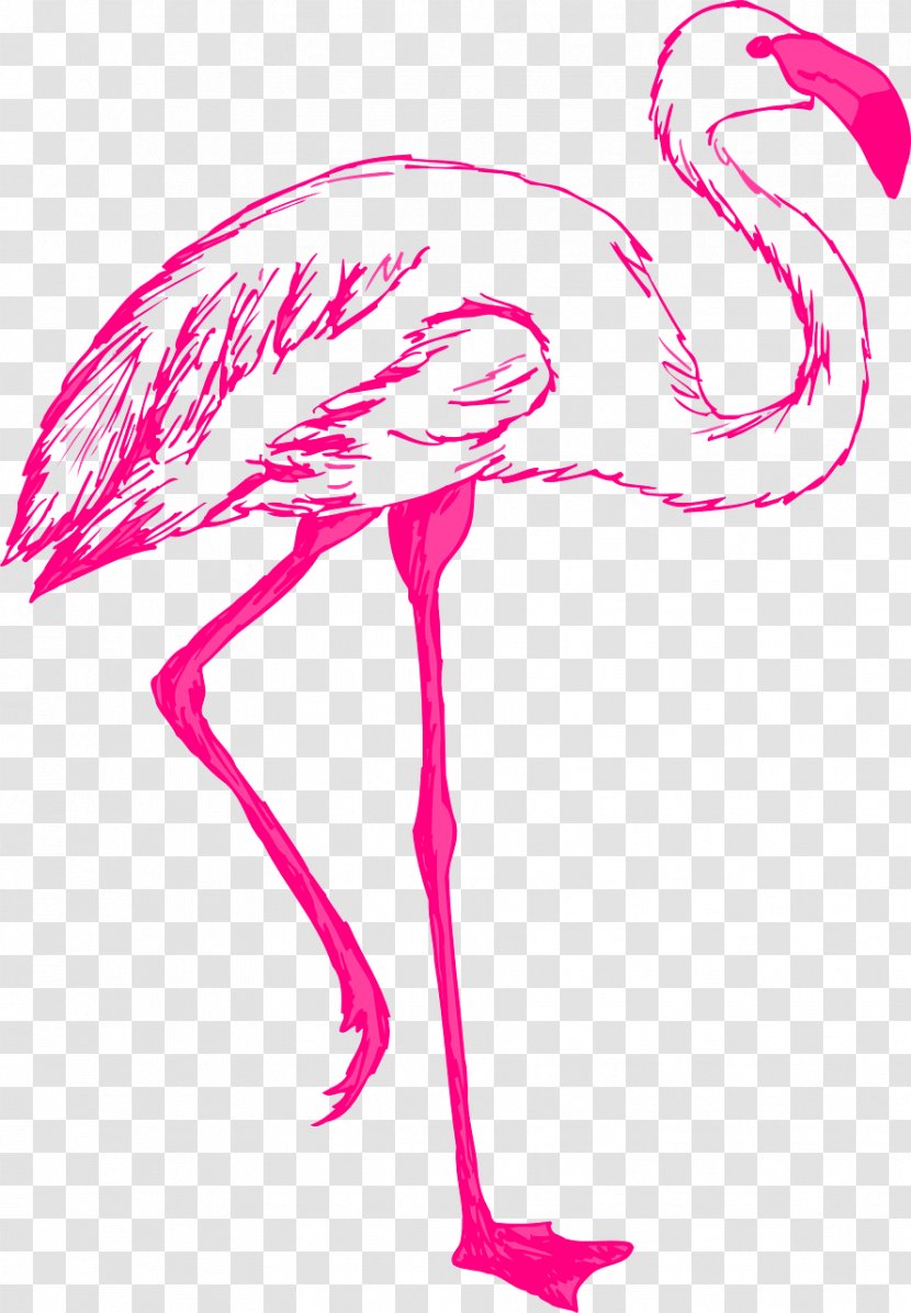 Flamingo Free Clip Art - Wing Transparent PNG