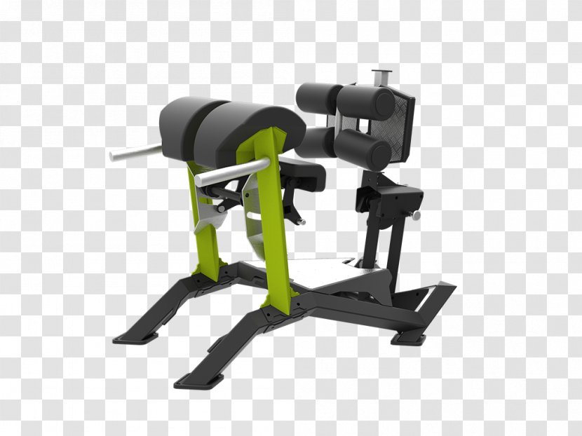 Weightlifting Machine Fitness Centre - Olympic - Design Transparent PNG
