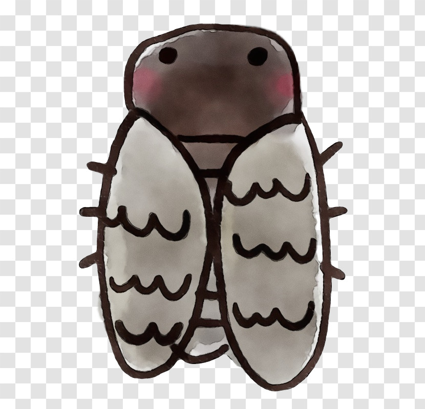 Insect Brown Beetle Transparent PNG