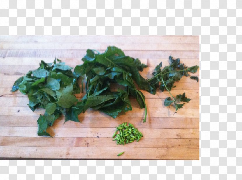 Parsley Spring Greens Recipe Leaf Vegetable - Herb Transparent PNG