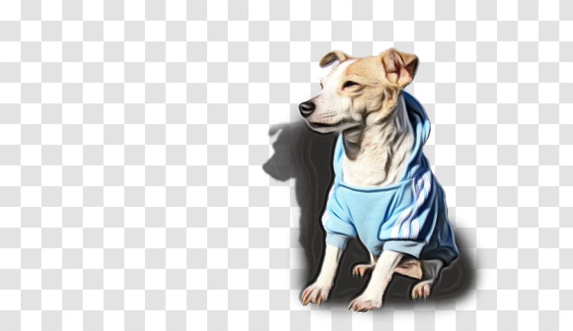 Dog Cartoon - Clothes - Puppy Sighthound Transparent PNG