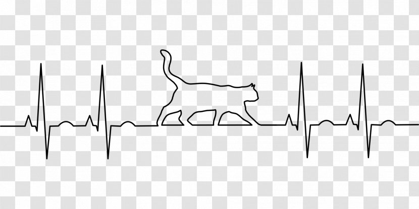 Cat Veterinarian Medicine Electrocardiography Disease - Home Fencing Transparent PNG