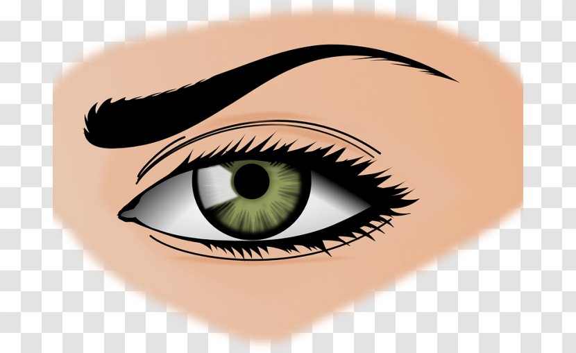 Eye Color Human Clip Art - Cartoon Transparent PNG