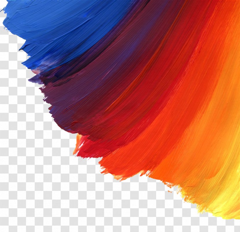 Watercolor Painting Brush Oil Paint - Color Brushes Transparent PNG