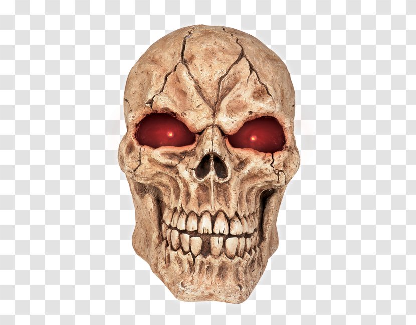 Skull Human Skeleton Head Bone - Heart - Marvel Red Transparent PNG