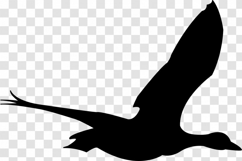 Bird Flight Goose Clip Art - Of Prey - Animal Silhouettes Transparent PNG