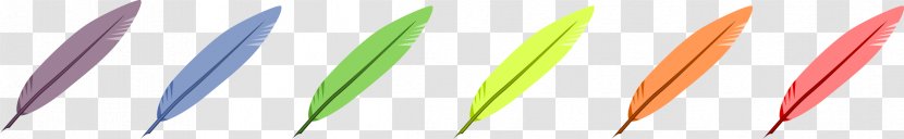 Parrot Bird Feather Clip Art - Windows Metafile Transparent PNG