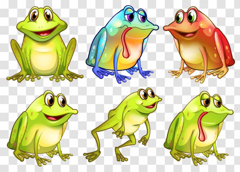 Edible Frog Illustration - Ranidae Transparent PNG