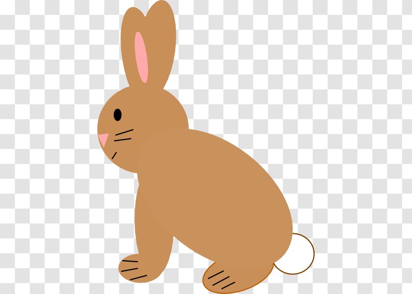 Domestic Rabbit Hare YouTube Clip Art - Carnivoran Transparent PNG
