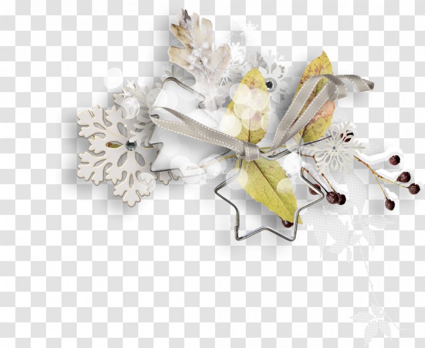 Cut Flowers Flower Bouquet Floral Design Petal - White Transparent PNG