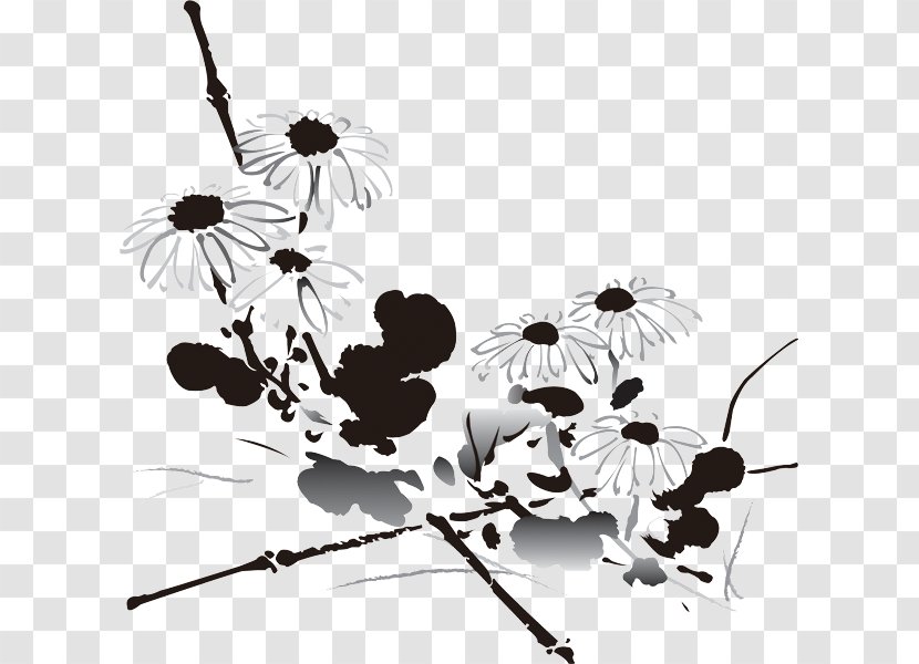 China Chrysanthemum Xd7grandiflorum Budaya Tionghoa Flowering Tea Liqiu - Monochrome Transparent PNG