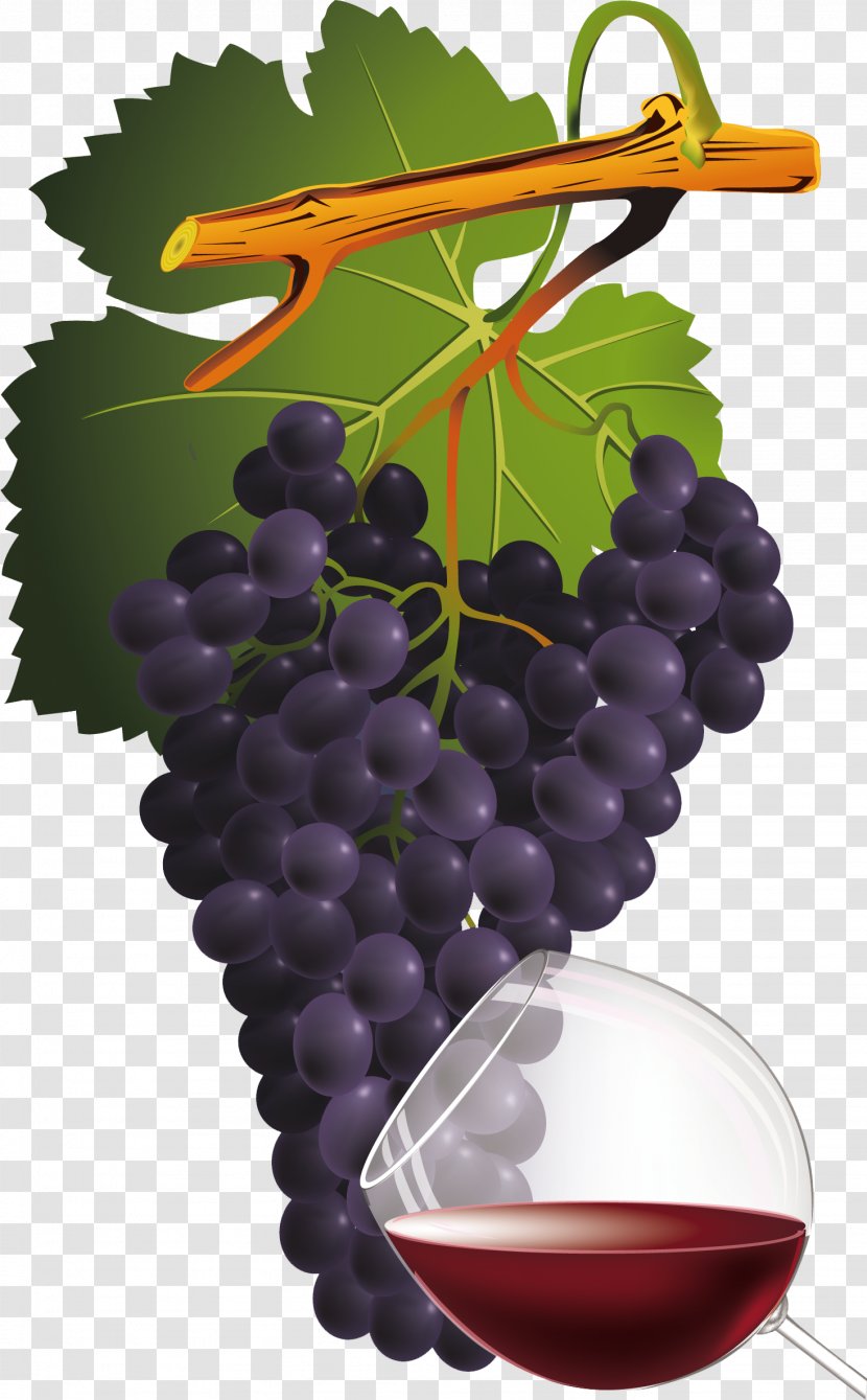 Common Grape Vine Red Wine - Glass Transparent PNG