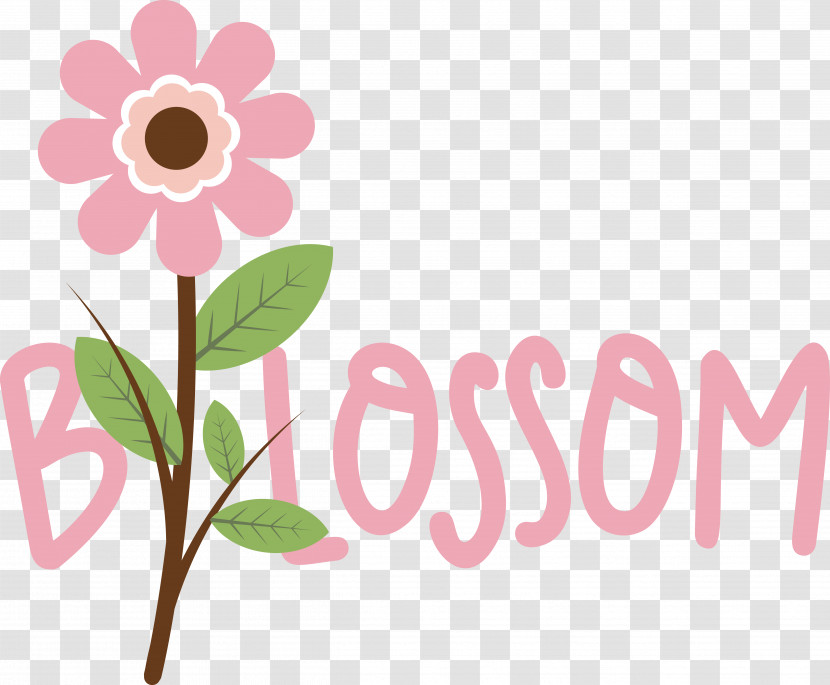 Floral Design Transparent PNG