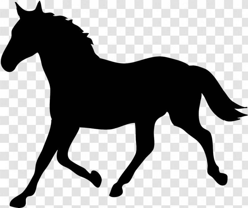 Tennessee Walking Horse Silhouette Equestrian & Hound Clip Art - Livestock - Animal Silhouettes Transparent PNG