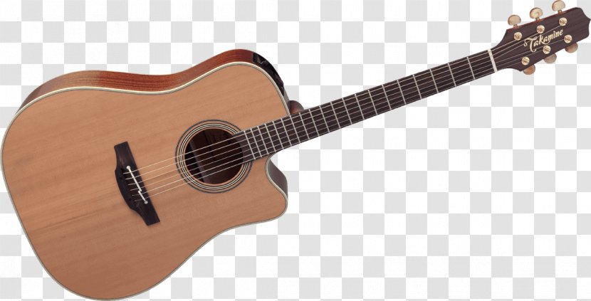 Steel-string Acoustic Guitar Cort Guitars Acoustic-electric - Cartoon Transparent PNG