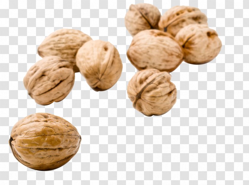 Nucule Walnut Nutcracker Food Mixed Nuts - Superfood Transparent PNG