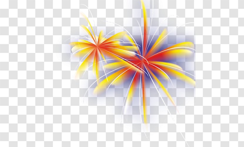 Fireworks Festival - Drawing Transparent PNG