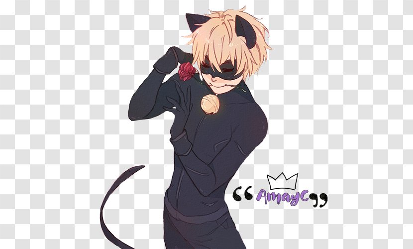 Adrien Agreste Online Chat Black Cat Stone Heart: Origins, Part 2 - Heart - Cartoon Transparent PNG