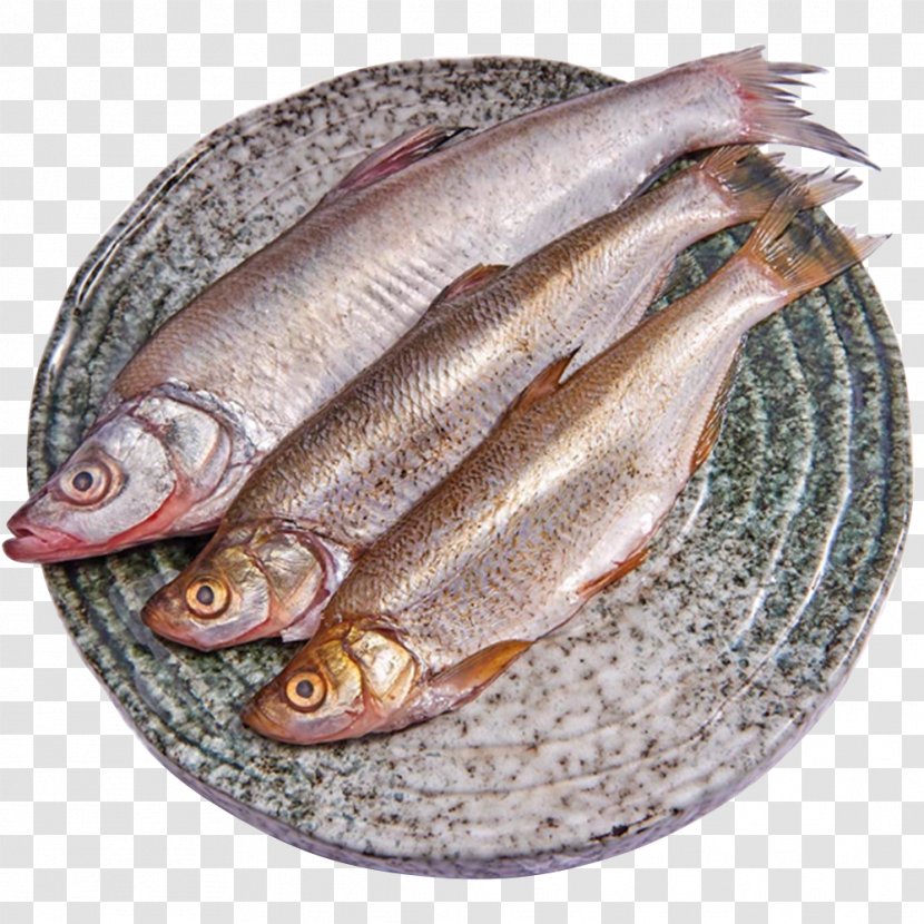 Kipper Soused Herring Anchovies As Food Wild Fisheries - Miyun Reservoir Pout Fish Transparent PNG