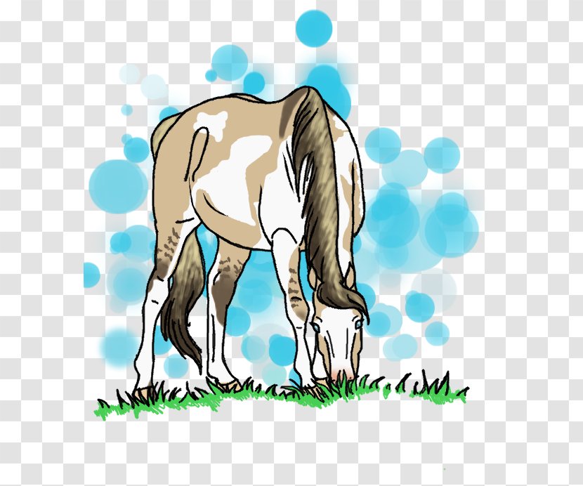Foal Pony Mustang Stallion Colt - Horse Tack - Grazing Transparent PNG