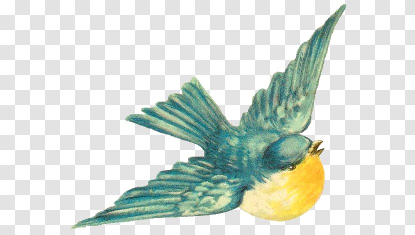 Bird Sparrow Clip Art Transparent PNG