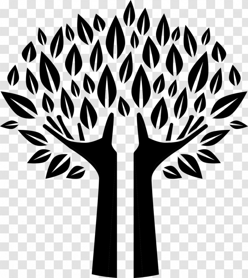 Silhouette Tree Clip Art - Plant Stem - Grove Vector Transparent PNG