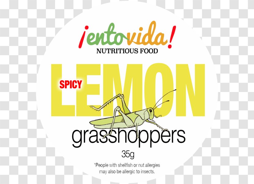 Insect Grasshopper Entomophagy Thai Curry Locust - Text Transparent PNG