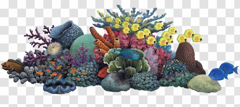 Coral Reef Sea Ocean Clip Art - Drawing Transparent PNG