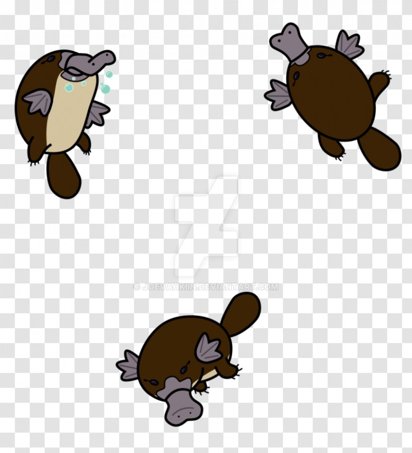 Platypus Drawing Beaver Art Clip - Cartoon Transparent PNG