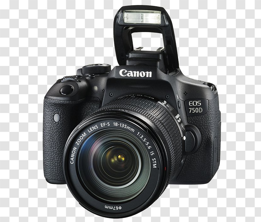 Canon EF-S 18–135mm Lens 18–55mm EF Mount Camera Transparent PNG