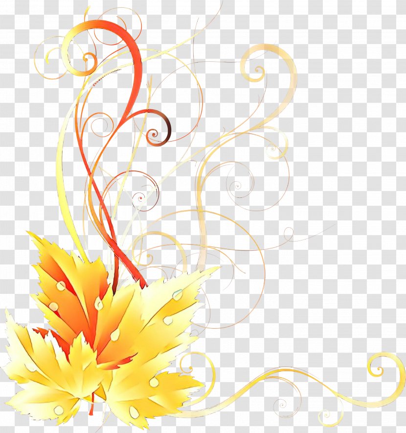 Floral Design - Flower - Flame Transparent PNG