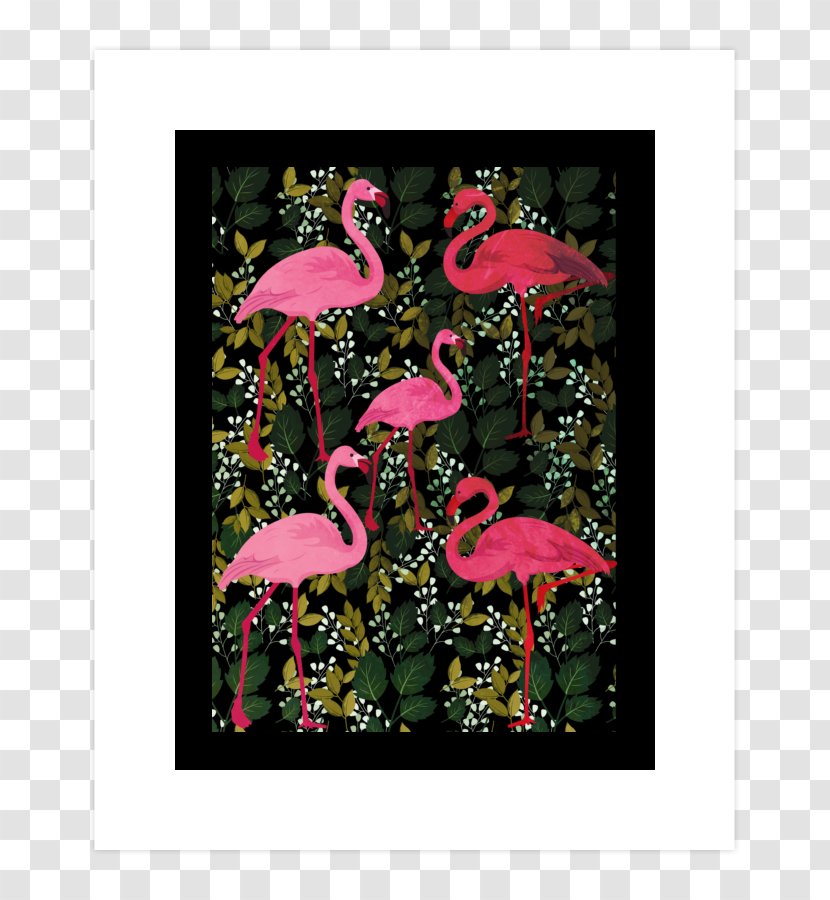 Pink M Petal - Flowering Plant - Bird Transparent PNG