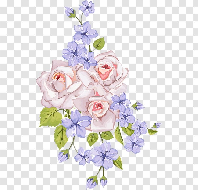 Lavender - Cut Flowers - Petal Violet Transparent PNG