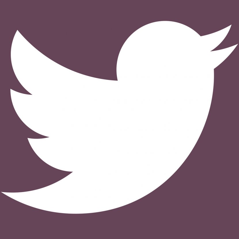Social Media Logo Instagram Blog - Purple - Twitter Transparent PNG