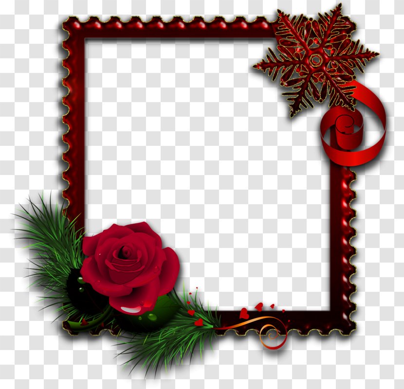 Picture Frames Light Rose - Decor - Frame Transparent PNG