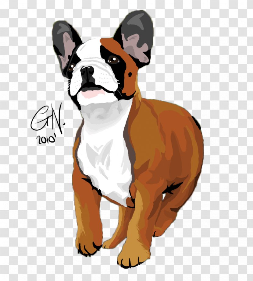 Boxer Dog Breed Non-sporting Group Companion (dog) - Bulldog Transparent PNG