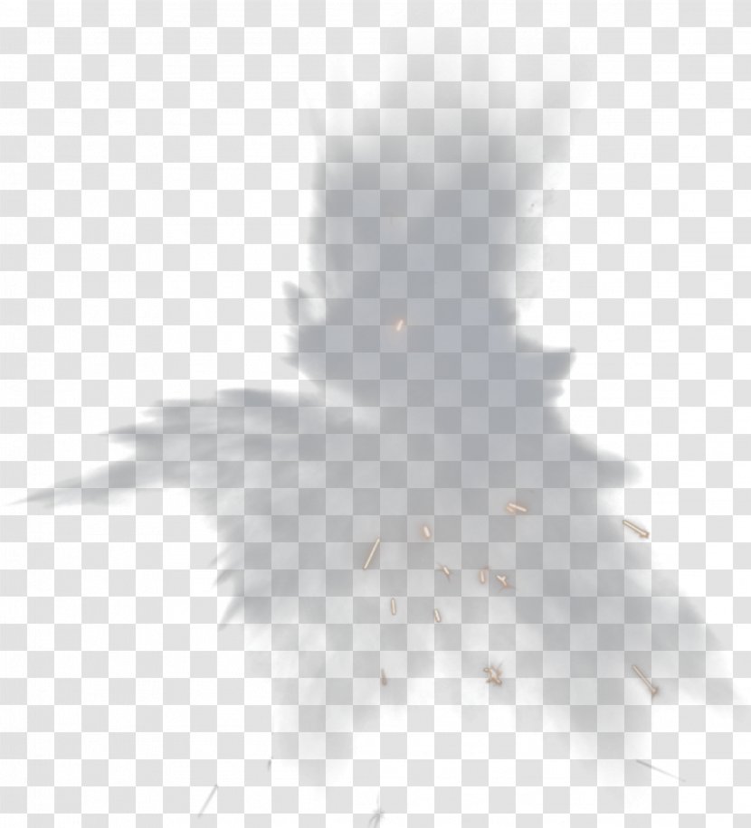 White Black Angle Pattern - Tree - Explosion Transparent PNG
