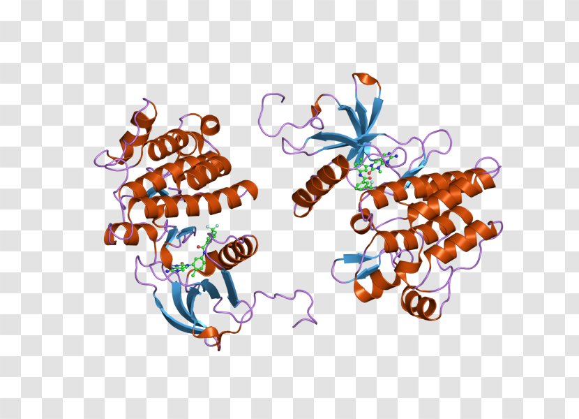 ABL Oncogene Protein Arsenic - Abl Transparent PNG