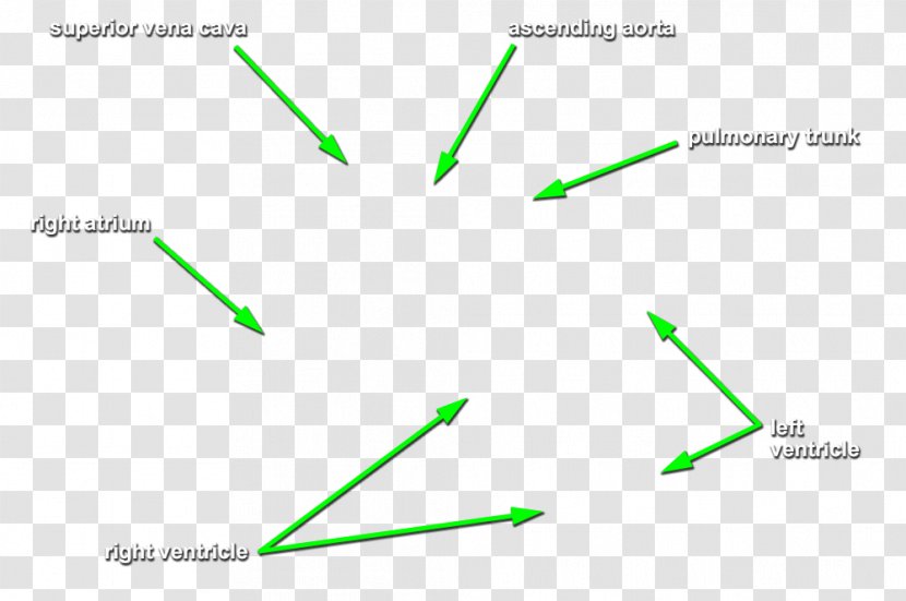 Line Point Angle Product Design Diagram - Triangle Transparent PNG