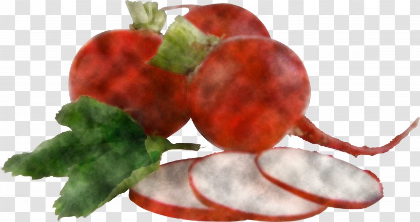 Radish Food Beetroot Vegetable Natural Foods - Beet Vegetarian Transparent PNG