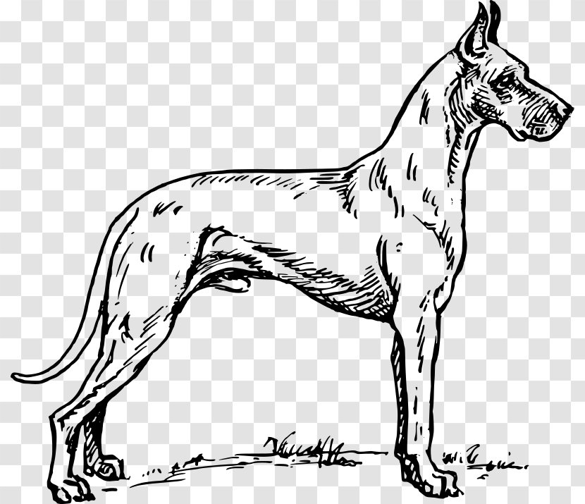 Great Dane Dachshund Puppy Clip Art - Clipart Transparent PNG