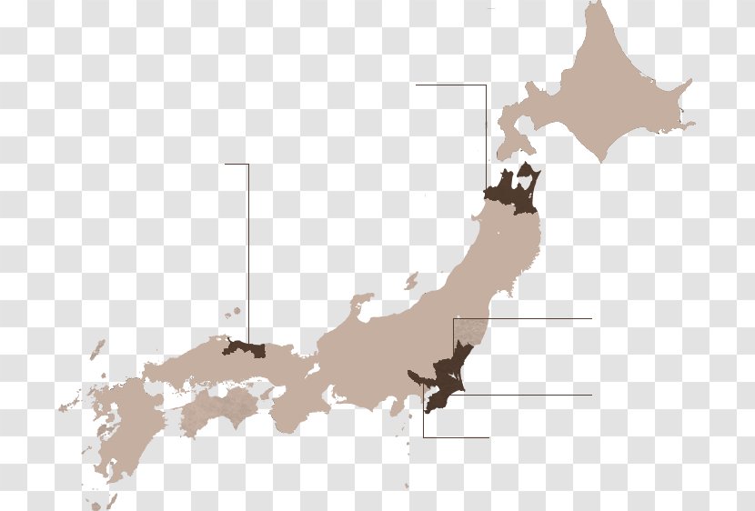 Osaka World Map Tokyo Vector Graphics - Ecoregion - Stone Spa Transparent PNG