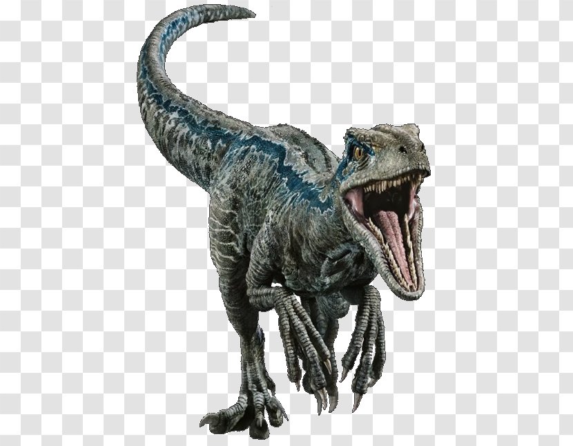 Velociraptor Tyrannosaurus Deinonychus Dinosaur Stegosaurus - Jurassic World Fallen Kingdom - Blue Transparent PNG