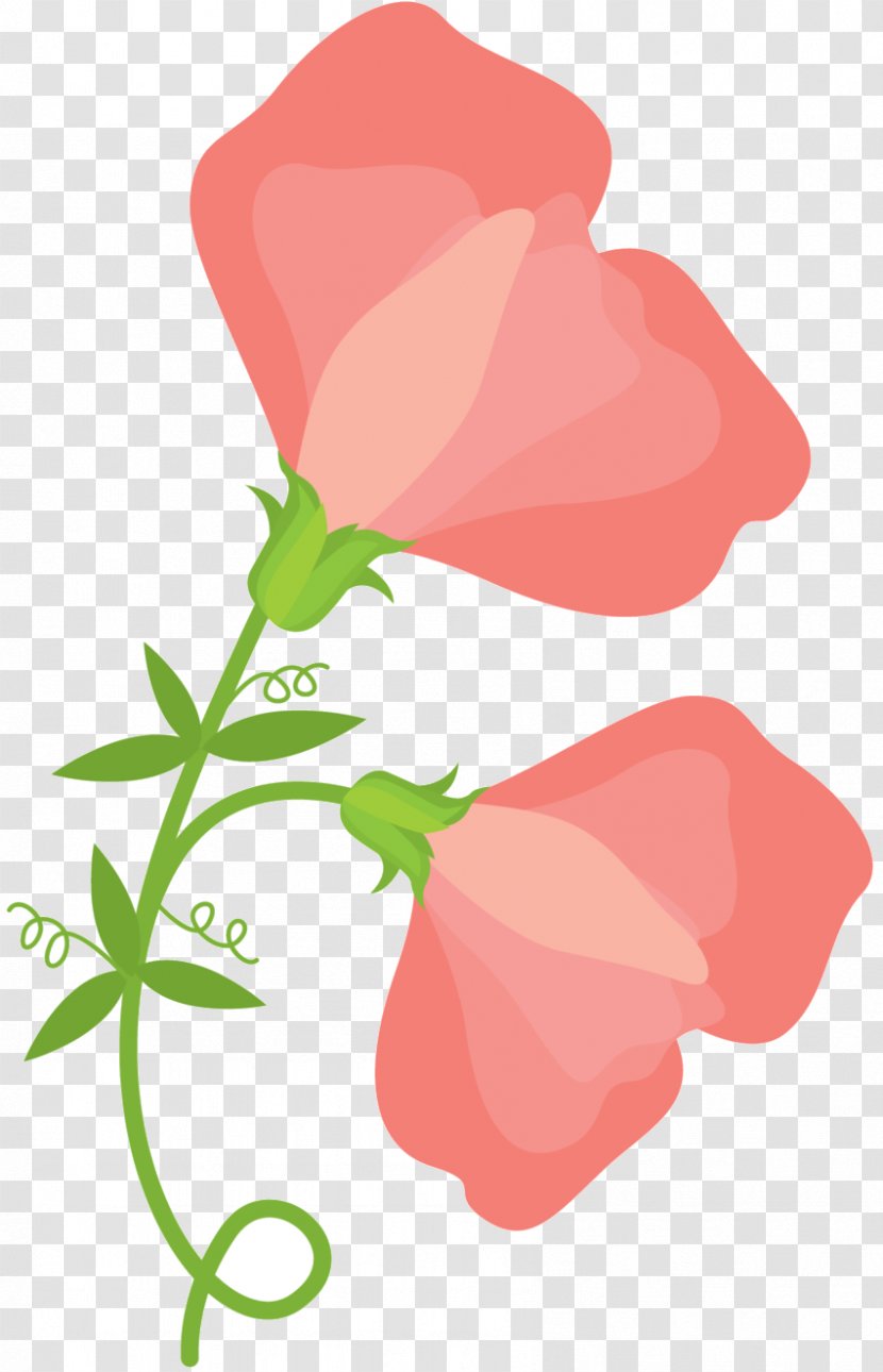 Garden Roses Clip Art Floral Design Plant Stem Petal - Pink - Flowering Transparent PNG