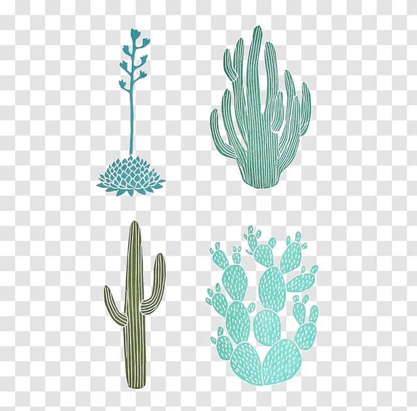 Selenicereus Grandiflorus Cactaceae Drawing Linocut Illustration - Turquoise - Cactus Transparent PNG