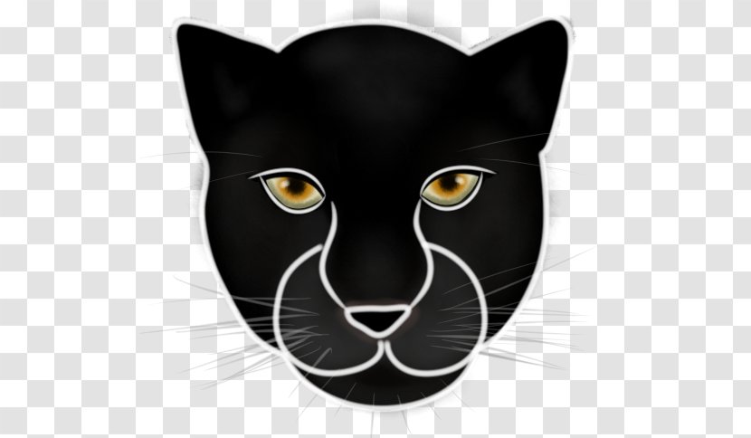 Black Cat Whiskers Panther Leopard - Face Transparent PNG