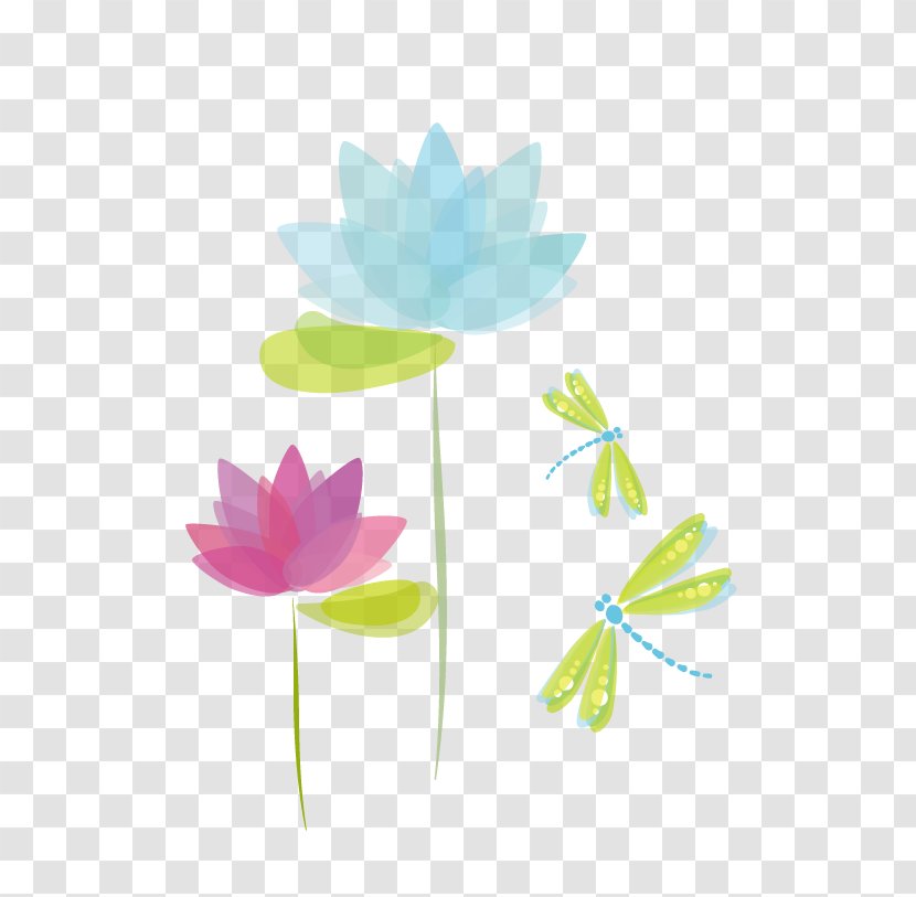 Nelumbo Nucifera - Petal - Vector Lotus Transparent PNG