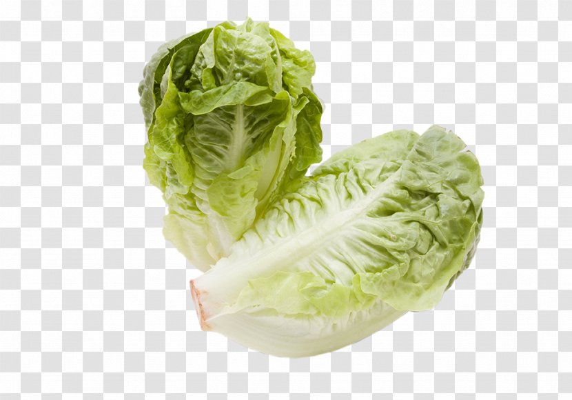 Romaine Lettuce Vegetable Iceberg Curled Endive Stock Photography Transparent PNG